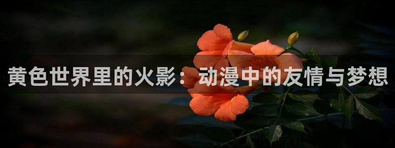 58动漫网,动漫：黄色世界里的火影：动漫中的友情与梦想