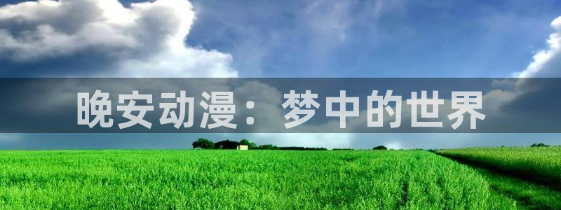 58动漫网站官网免费：晚安动漫：梦中的世界