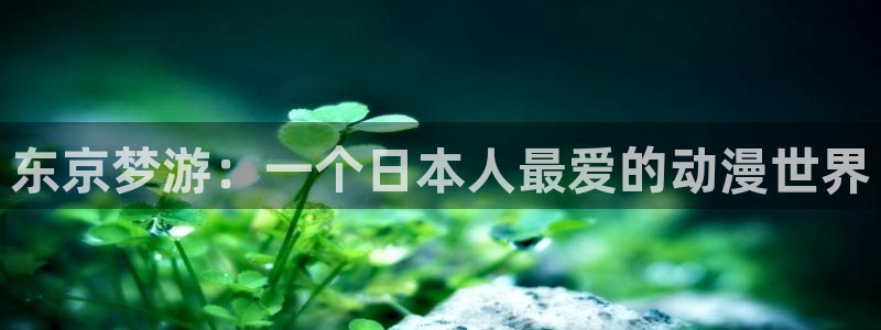 58动漫网站：东京梦游：一个日本人最爱的动漫世界
