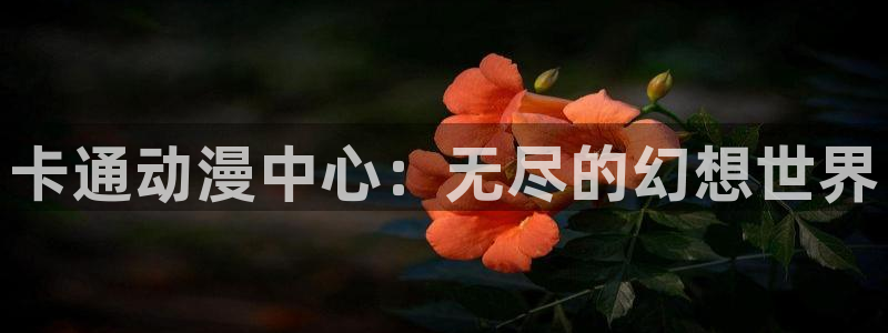 58动漫网在线：卡通动漫中心：无尽的幻想世界