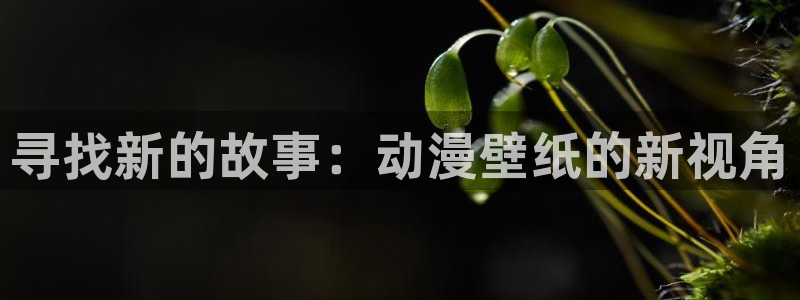 58动漫网热门动漫：寻找新的故事：动漫壁纸的新视角
