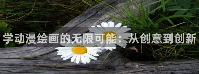 动漫网58动漫：学动漫绘画的无限可能：从创意到创新