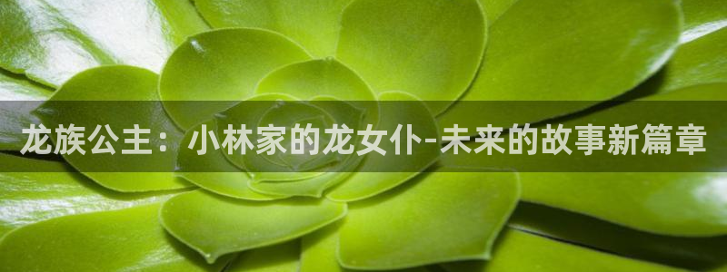 58动漫.：龙族公主：小林家的龙女仆-未来的故事新篇章